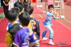 （粤港澳大湾区）第七届广府庙会武林大会启幕 湾区“高手”同台