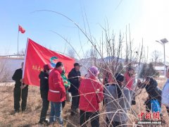 （乡村行·看振兴）内蒙古：在果园里开启新春第一课